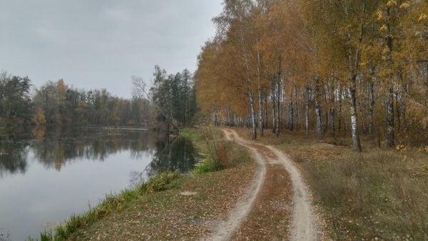 21 октября 2018 – Октябрьская Патриотовка